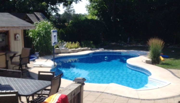 A backyard pool
