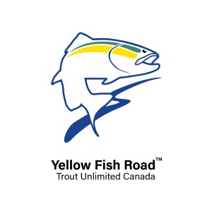 Trout Unlimited Canada's Yellow Fish Road logo