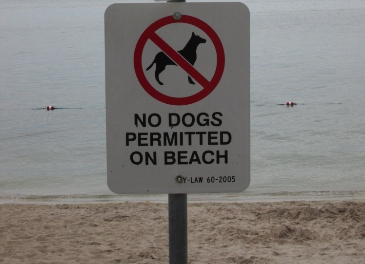 Sign on a Burlington Beach advising that dogs are not permitted on the beach.