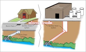 Storm drain versus sanitary sewer systems
