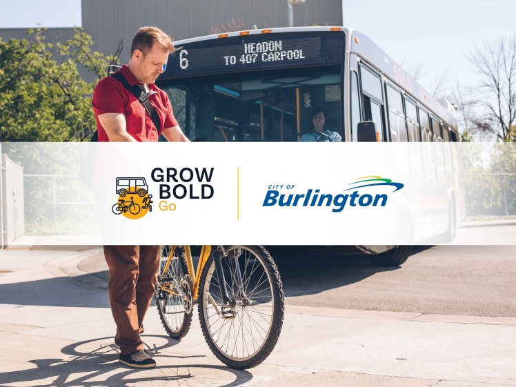 Grow Bold - Go pillar