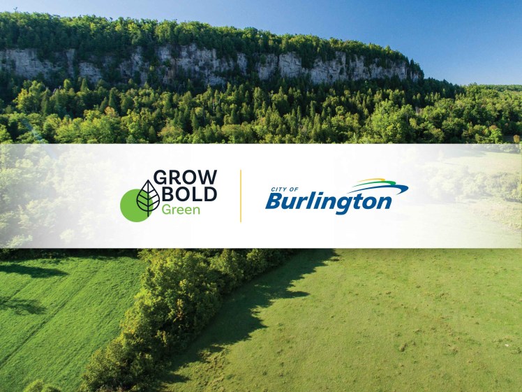 Grow Bold - Green pillar