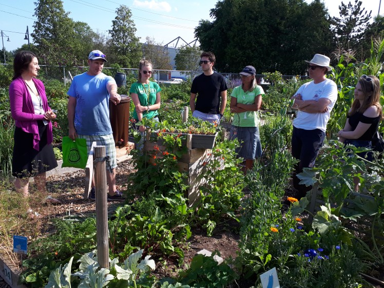 An educational tour at one of Burlington's community gardens.