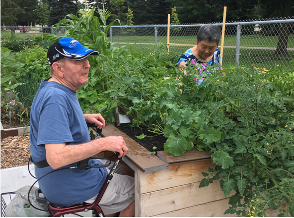An accessible garden plot at Maple Park.