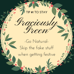 Graciously Green Tip 1