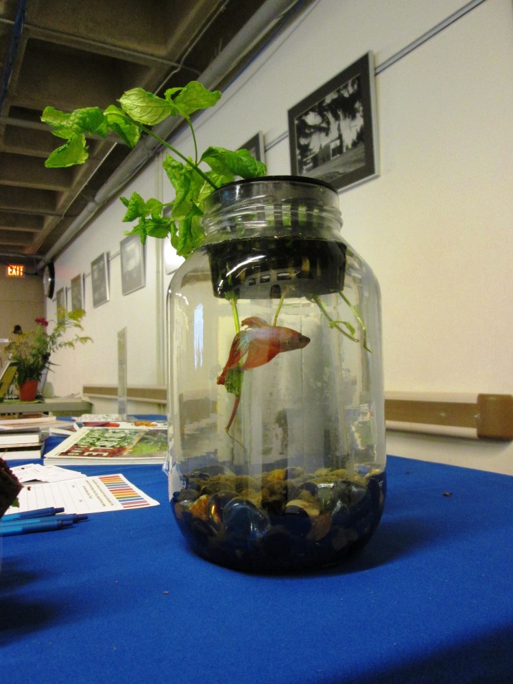 A mason jar micro garden.