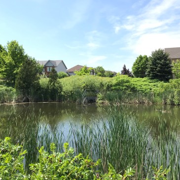 A stormwater management pond