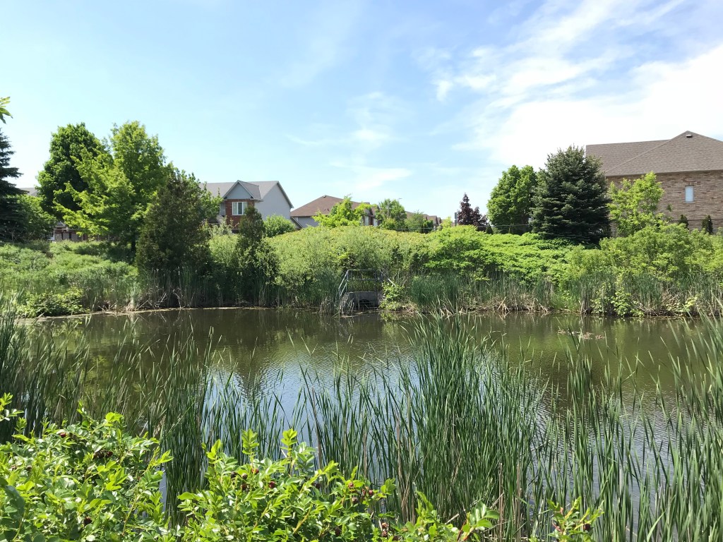 A stormwater management pond