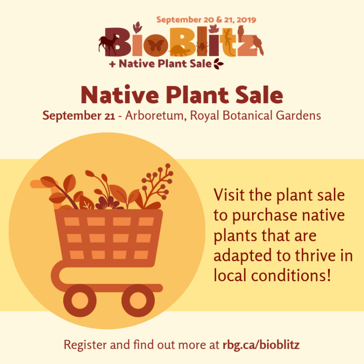 Promotion for BioBlitz Native Plant Sale