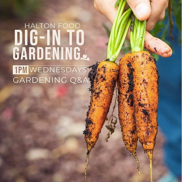 Promotion of Dig-in to gardening sessions 