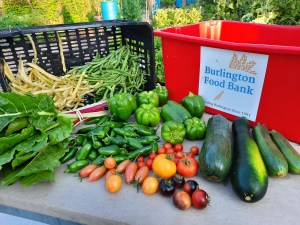 Harvest for Burlington Food Bank