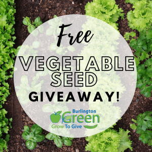 promotional image for free vegetable seed giveaway