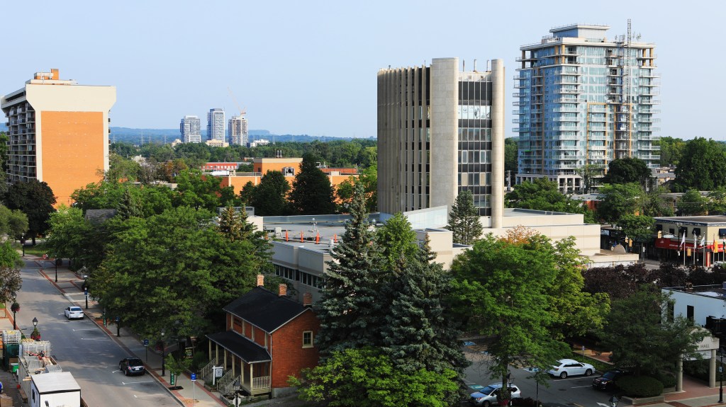 A photo showing the urban forest, specifically downtown trees in Burlington over a road and buildings.